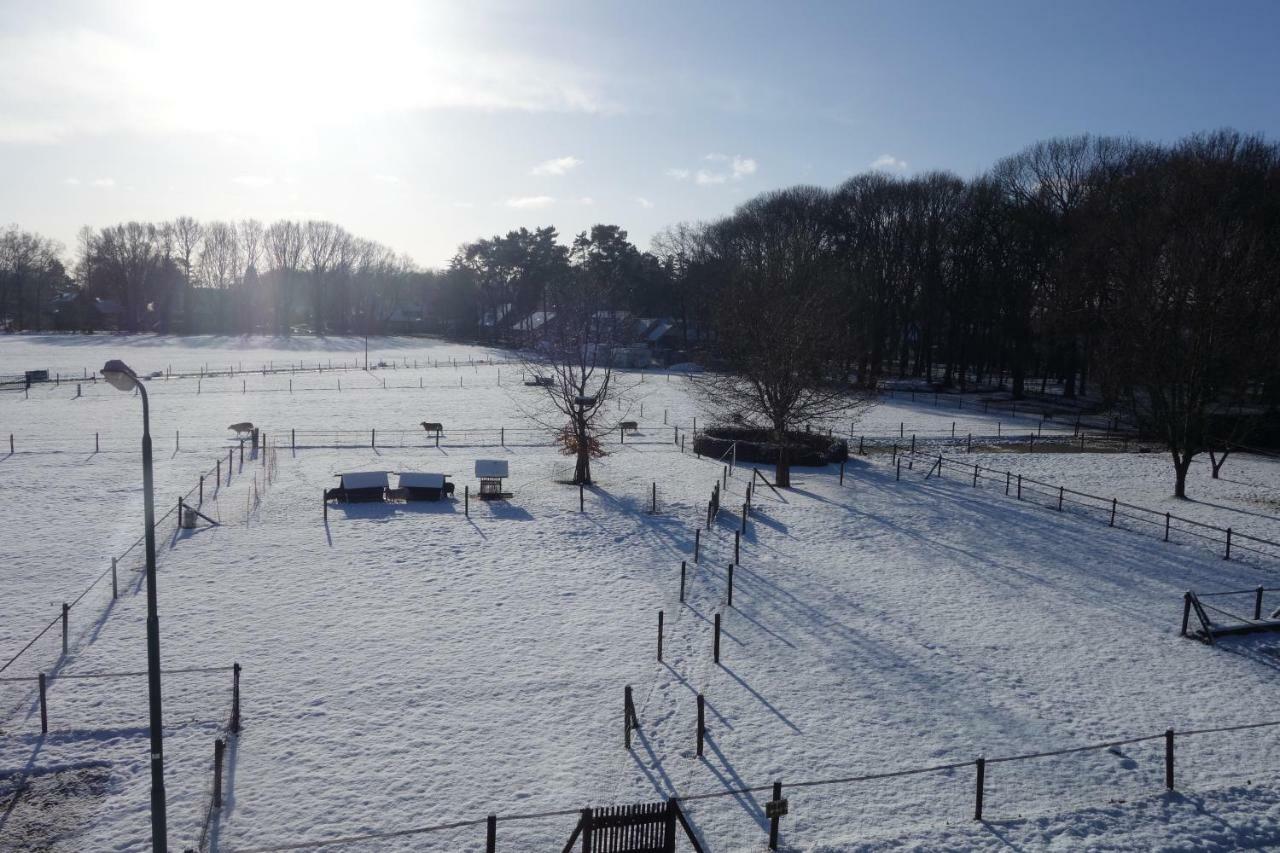 B&B Achterom Loon op Zand 外观 照片