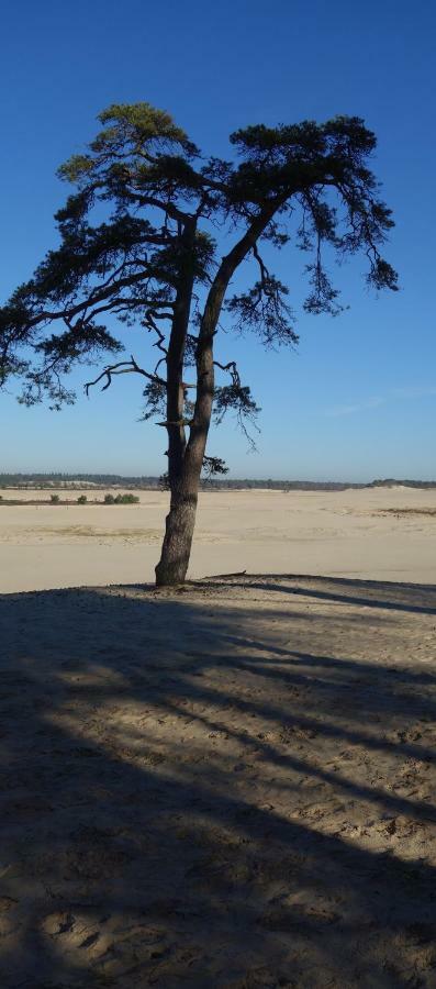 B&B Achterom Loon op Zand 外观 照片